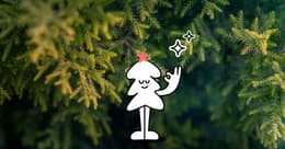 Cadeaux de Noël zéro déchet : 4 idées pour être plus éco-responsable