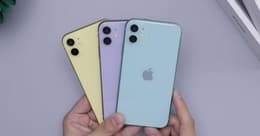 Couleur iPhone 11 : quelle couleur choisir et laquelle est la plus populaire ?