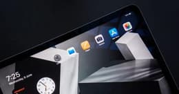 iPad Air 4G 64Go reconditionné Premium - REBORN