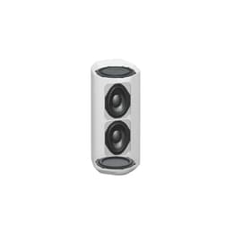 Enceinte Bluetooth Sony SRS-XE300 - Gris