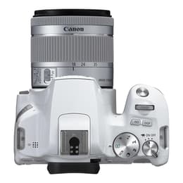 Reflex - Canon EOS 250D argent Canon Canon EF-S 18-55 mm f/3.5-5.6 IS STM