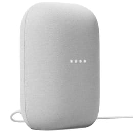 Enceinte Bluetooth Google Nest Audio Galet - Gris