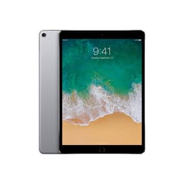 iPad Pro 10.5 (2017) 1e génération 256 Go - WiFi + 4G - Gris Sidéral