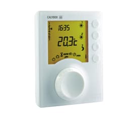 Thermostat Delta Dore Calybox 230