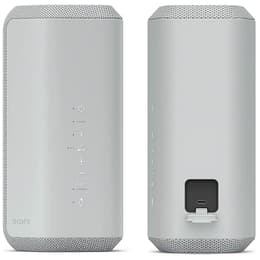 Enceinte Bluetooth Sony SRS-XE300 - Gris