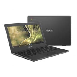 Asus ChromeBook C204 Touch 11.6" Celeron 1,1 GHz 32Go SSD - 4Go QWERTY - Suédois