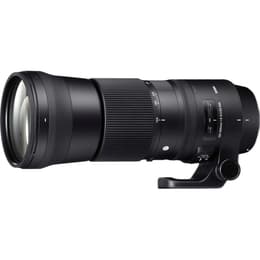 Objectif Sigma F 150-600mm f/5-6.3 DG CA OS HSM C Canon EF 150-600mm f/5-6.3