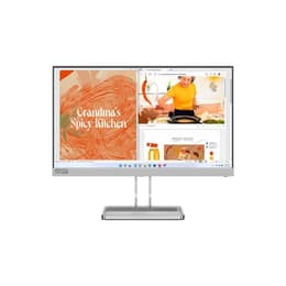 Écran 21" LED Lenovo L22i-40