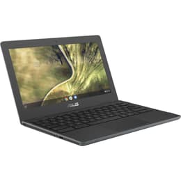 Asus Chromebook C204MA-GJ0229 Celeron 1.1 GHz 32Go eMMC - 4Go QWERTY - Anglais