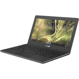 Asus Chromebook C204MA-GJ0229 Celeron 1.1 GHz 32Go eMMC - 4Go QWERTY - Anglais