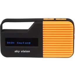 Radio Sky Vision DAB 10 O