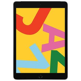 iPad 10.2 (2019) 7e génération 128 Go - WiFi + 4G - Gris Sidéral