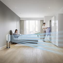 Dyson™ Hot+Cool Formaldehyde (HP09) - Or/Argent
