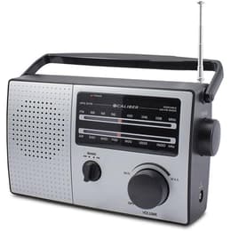 Radio Caliber HPG 317R