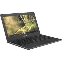 Asus ChromeBook C204 Celeron N4000 1.1 GHz 32Go SSD - 4Go QWERTY - Suédois