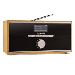 Radio Auna Weimar