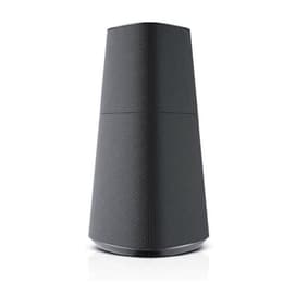 Enceinte Bluetooth Loewe Klang MR5 - Gris