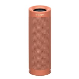 Enceinte Bluetooth Sony SRS-XB23 - Marron