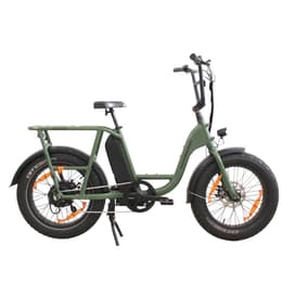 Vélo électrique Rad Power Bikes RadRunner