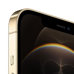 iPhone 12 Pro Max 512 Go - Or - Débloqué