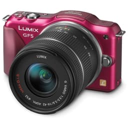 Lumix DMC-GF5 - Rose + Lumix Lumix G 14 - 42 mm f- 3.5 - 5.6 f/3.5-5.6