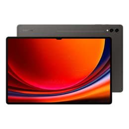 Galaxy Tab S9 Ultra 1000GB - Gris - WiFi