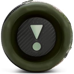 Enceinte Bluetooth JBL Flip 7 - Vert