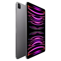 iPad Pro 12.9" (2022) 6e génération 512 Go - WiFi + 5G - Gris Sidéral