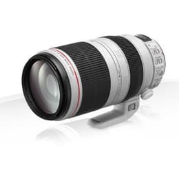 Objectif Canon EF 100-400mm f/4.5-5.6 L IS II USM EF 100-400mm 4.5