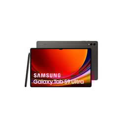 Galaxy Tab S9 Ultra 256GB - Gris - WiFi
