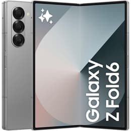 Galaxy Z Fold6 1000 Go - Argent - Débloqué