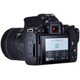 Reflex - Canon EOS 250D Noir Canon EF-S 18-55mm f/4-5.6 IS STM