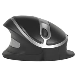 Souris Bakkerelkhuizen Oyster mouse Sans fil