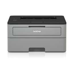 Brother HL-L2310D Laser monochrome