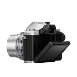 OM-D E-M10 - Gris/Noir + Olympus Olympus 14-42mm 1:3.5-5.6 IIR + 40-150mm f4.0-5.6 R f/3.5-5.6