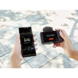 Compact ZV-1F - Noir +