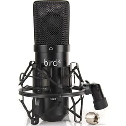 Accessoires audio Bird UM1