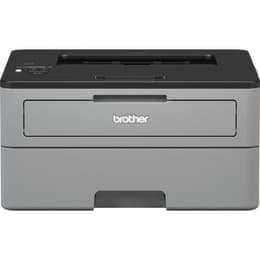 Brother HL-L2350DW Laser monochrome