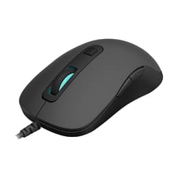 Souris Rapoo V16