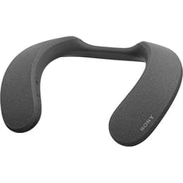 Enceinte Bluetooth Sony SRS-NS7 - Gris
