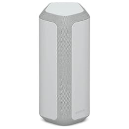 Enceinte Bluetooth Sony SRS-XE300 - Gris