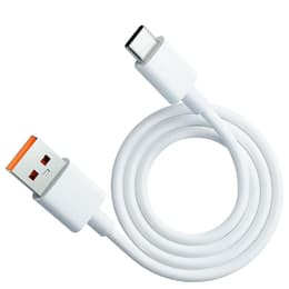Câble (USB) 100W - Evetane