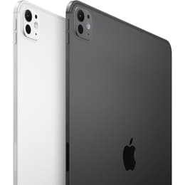 iPad Pro 11" (2024) 5e génération 1000 Go - WiFi + 5G - Noir Sidéral