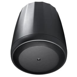 Enceinte JBL Control C65P/T - Noir