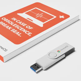 USB Key x ChromeOS Flex