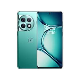 OnePlus Ace 2 Pro 512 Go - Vert - Débloqué