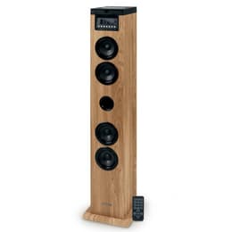 Enceinte Bluetooth Thomson DS122CD - Marron