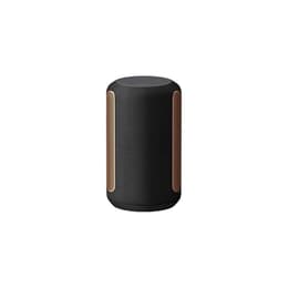 Enceinte Bluetooth Sony SRS-RA3000 - Noir