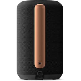 Enceinte Bluetooth Sony SRS-RA3000 - Noir