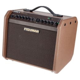 Amplificateur Fishman Loudbox Mini Charge